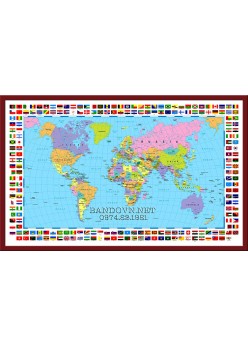 Bản đồ thế giới-TG11